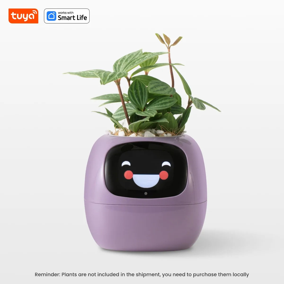 🌿 Meet the Tuya Ivy Smart Planter: The Future of Smart Gardening! 🤖✨