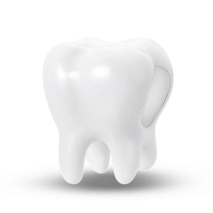 Sterling Silver CZ Dentist Tooth Charm Beads for Women
